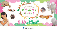 動物たちと仲良く遊ぼう！
