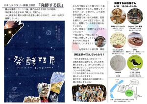 チラシ裏面