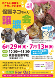 沼津市の東部自動車学校さんで6月29日(日)に猫の譲渡会を開催します
