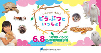 動物たちと仲良くあそぼう！