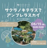 色とりどりの傘がお出迎え♪