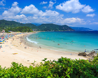若者とサーファーに人気、伊豆最大級の絶景ビーチで夏を満喫