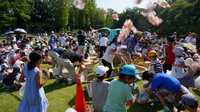 みどり～な最大の夏イベント！