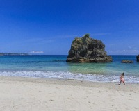 ハマユウ咲くビーチで自然と海遊びを満喫