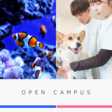 学校で飼育する動物たちとのふれあいが大人気！高校生、中学生、社会人どなたでもお気軽にご参加ください