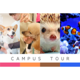 学校で飼育する動物たちとのふれあいが大人気！高校生、中学生、社会人どなたでもお気軽にご参加ください