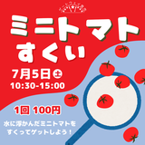 ミニトマトをすくってゲットしよう！