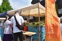 今が旬！三島スカイウォークに「坂もの夏野菜」が大集合
