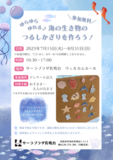  海の生き物たちを自由に組み合わせて、 つるしかざりを作りませんか？