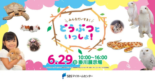 みんなだいすき！どうぶつといっしょ！　SBSマイホームセンター掛川展示場