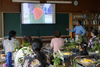 一般的には畑で栽培する大根を、自宅で育てる方法を学びます。