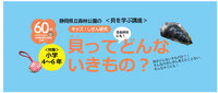 静岡県立森林公園60周年記念イベント開催！＜貝を学ぶ講座＞です。