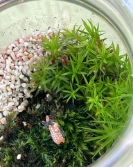 8月1日　午後の①