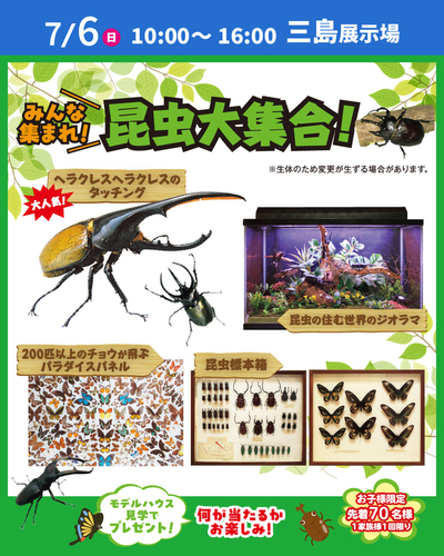 みんな集まれ！昆虫大集合！　SBSマイホームセンター三島展示場