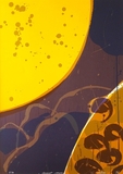 企画展　Harvest Moon　- 月に寄せて -