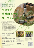 びく石山静かな夜のキャンプ場でワークショップ開催のお知らせです！