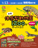 iZooの爬虫類を見に行こう！