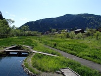 昆虫好きなそこのアナタ！皆で川根本町に住んでいる昆虫を観察してみませんか？