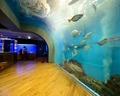 浜名湖体験学習施設ウォット 2025年9月のイベント