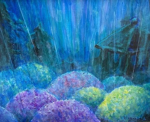 紫陽花