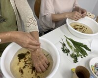 ベトナムのハーブ文化を体験！ベトナムでのハーブの活用法や健康と美の秘訣を学ぼう！
