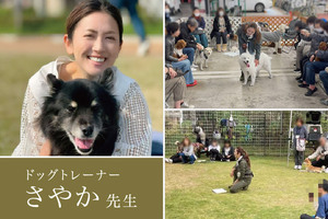 ドッグトレーナーさやか先生