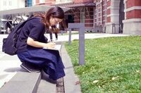 雑草画家のカトウマキさんと一緒に、雑草をスケッチし、そこへ大切な方へ手紙を書くワークショップを行います。