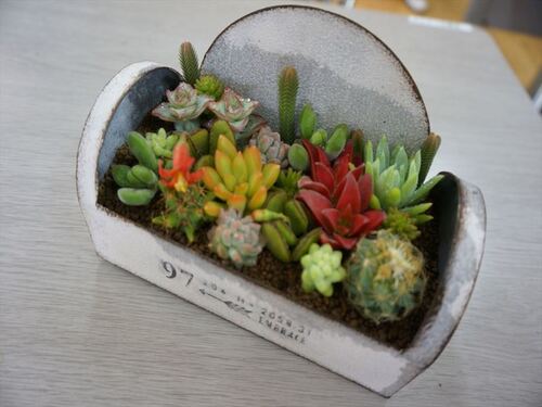 多肉植物の管理と寄せ植え講座【午前・午後の部】