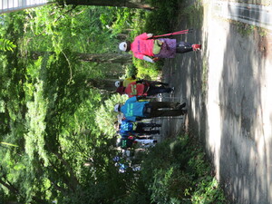 みどりの中を歩きます