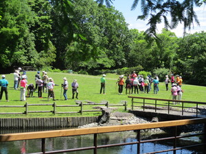 しっかり準備運動をして