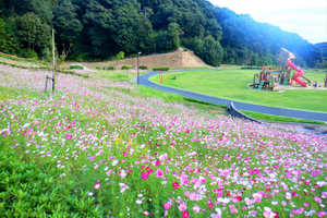 みつかわ夢の丘公園