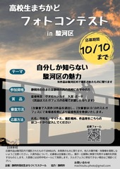 概要が載っているポスターです。