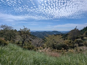 伊太丁仏参道の眺望