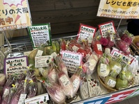 こんな大根見たことない！