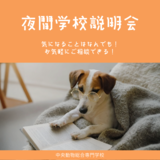 学校や仕事の帰りに気軽に参加できる夜間学校説明会