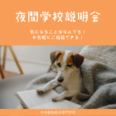 2026年2月4日中央動物総合専門学校学校説明会