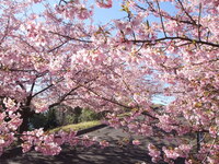 地場産品・海産物・加工品等販売