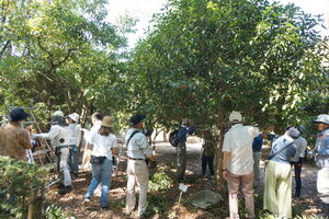 実技指導イメージ3