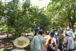 実技指導イメージ1