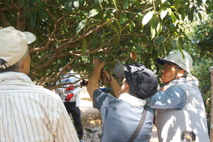 実技指導イメージ2