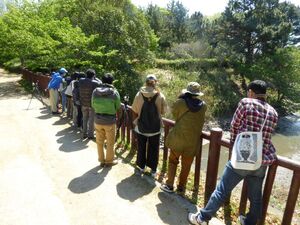 バードウォッチング　