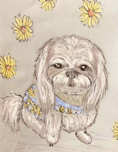 ワンちゃんとお散歩の駅