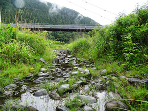 南アルプス接岨大吊橋