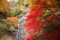 旭滝の紅葉
