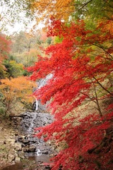 旭滝の紅葉／2017年11月4日