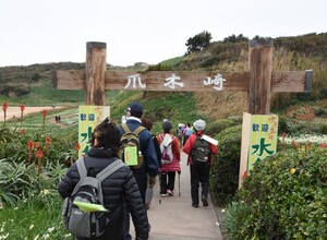 ウォーキング風景