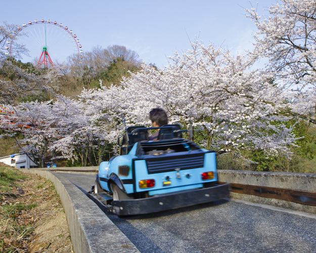 さがみ湖桜まつり 県外 アットエス