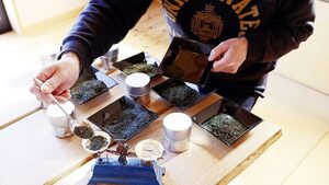 産地・品種飲み比べ、ブレンド体験、急須の扱いによる味の違い茶工場見学など
