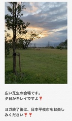 芝生がフカフカで 気持ち良いです。