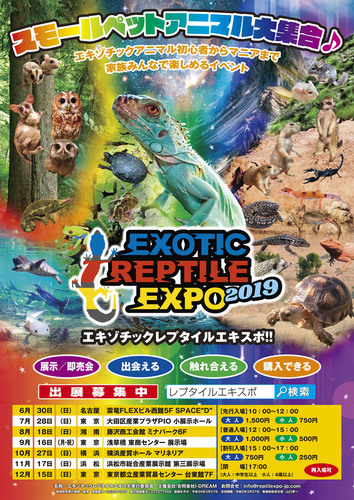 Exotic Reptile Expo 浜松市東区 アットエス